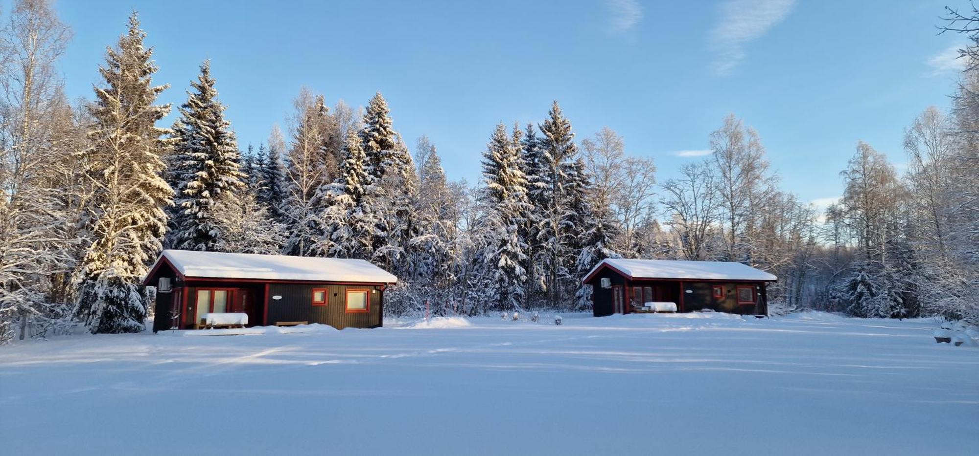 Nygard Cabins - Brandnew, Fully Equipped Home In Nature Сунне Екстер'єр фото