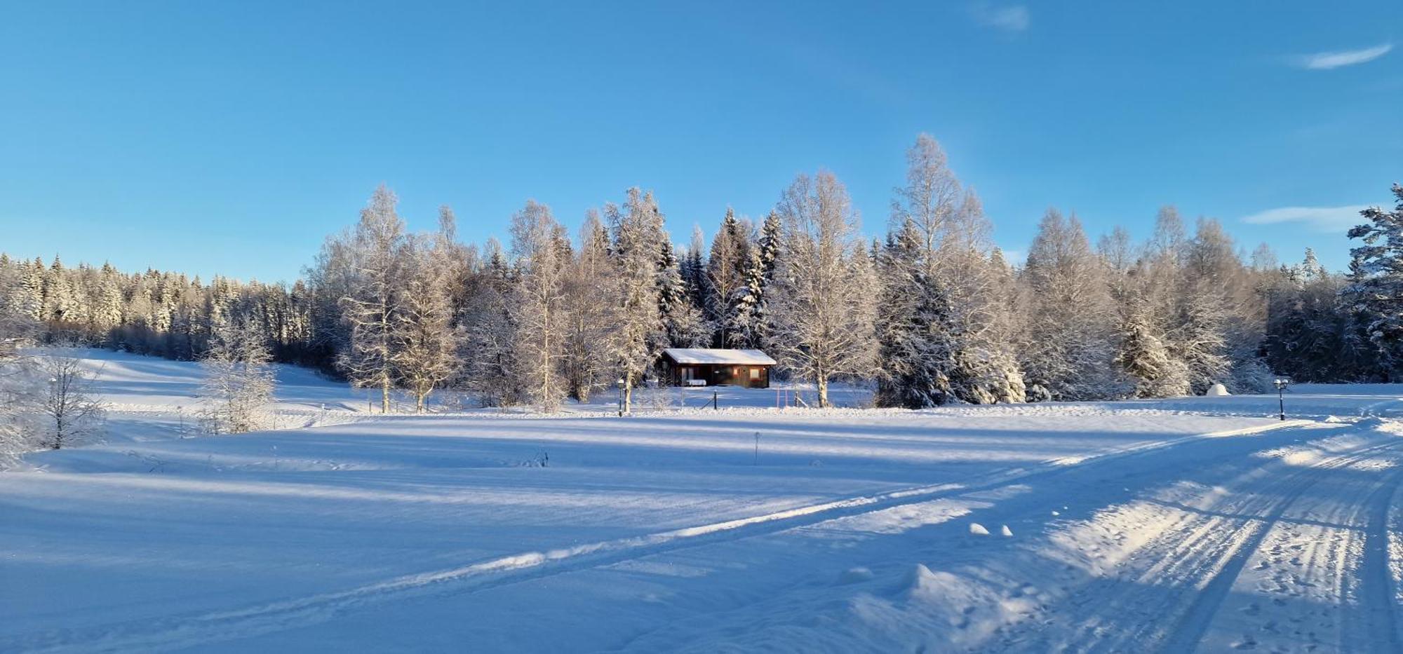 Nygard Cabins - Brandnew, Fully Equipped Home In Nature Сунне Екстер'єр фото